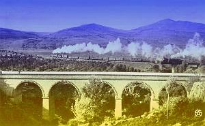 Saida 519- Train sortant de la gare